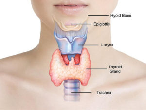 thyroid treatment
