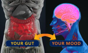 Gut-brain connection or gut brain axis.
